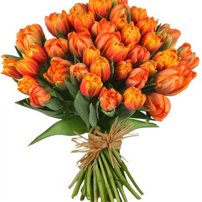 55 оранжевых тюльпана - заказать цветы с доставкой в  Москве недорого - 12 500 ₽