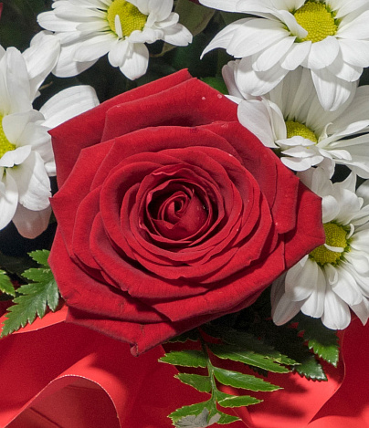 Шляпная коробка "В ритме танго" - заказать цветы с доставкой в  Москве недорого - 9 600 ₽