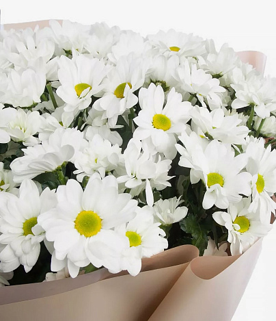 Букет хризантем "Летний день" - заказать цветы с доставкой в  Москве недорого - 9 500 ₽