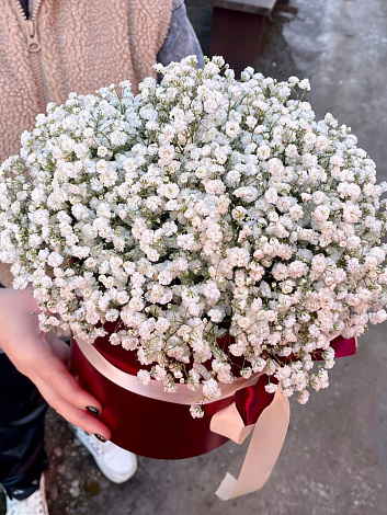 Гипсофила в шляпной коробке - заказать цветы с доставкой в  Москве недорого - 4 875 ₽