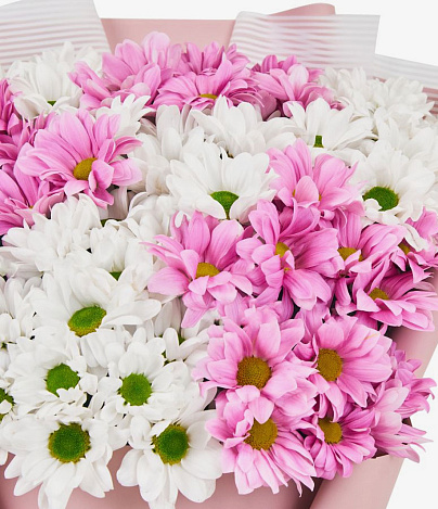 Букет хризантем «Весна» - заказать цветы с доставкой в  Москве недорого - 4 500 ₽