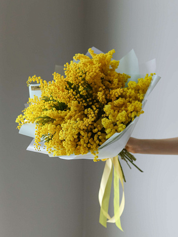 Мимоза для любимой - заказать цветы с доставкой в  Москве недорого - 5 500 ₽