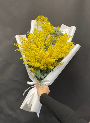 Мимоза - заказать цветы с доставкой в  Москве недорого - 3 500 ₽