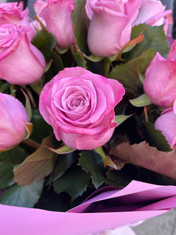 17 розовых роз - заказать цветы с доставкой в  Москве недорого - 5 900 ₽